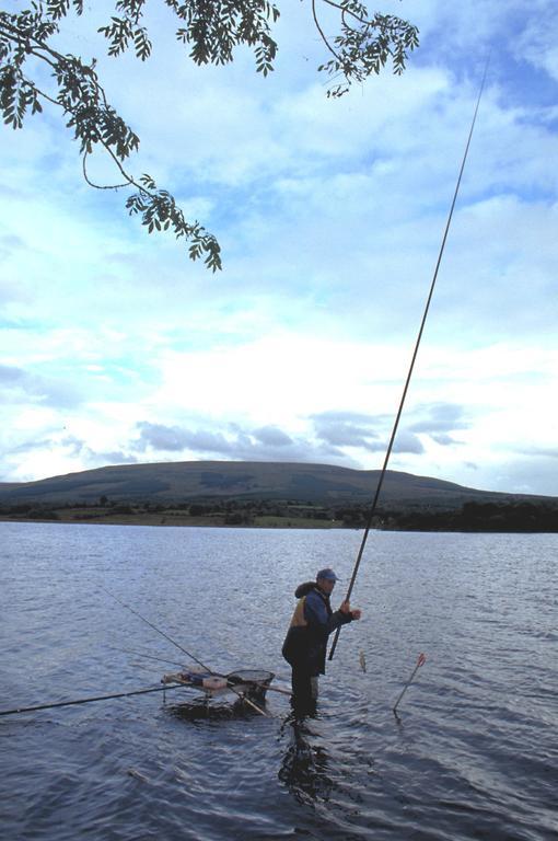 Lough Allen Hotel & Spa Drumshanbo Kültér fotó